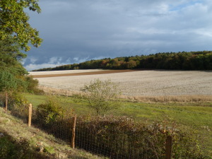 Landschap in de Ardennen
